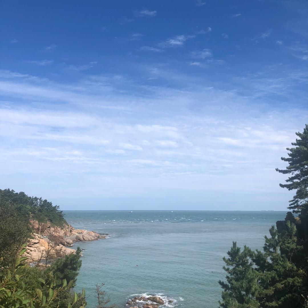 洞察世事，股市风雲。飄浮尘埃