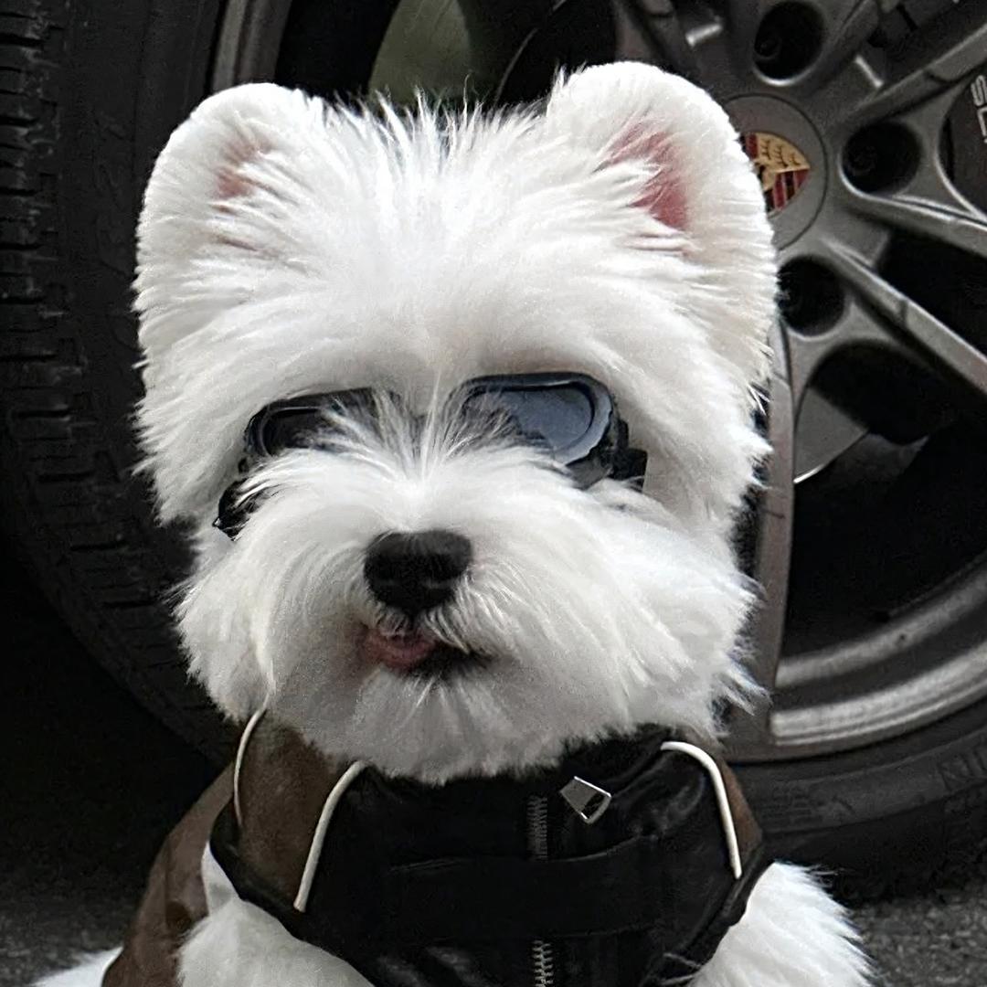 西高地（三角洲行动）