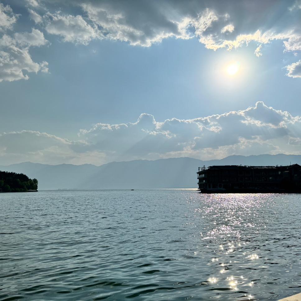 西伯利亚巨型超级无敌大野猪