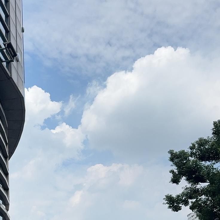 上海落户刘老师