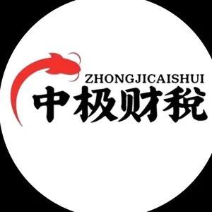 中极财税事务所(企服顾问)