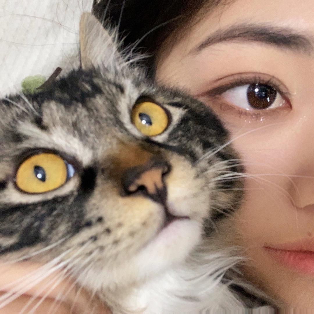 贪吃小猫