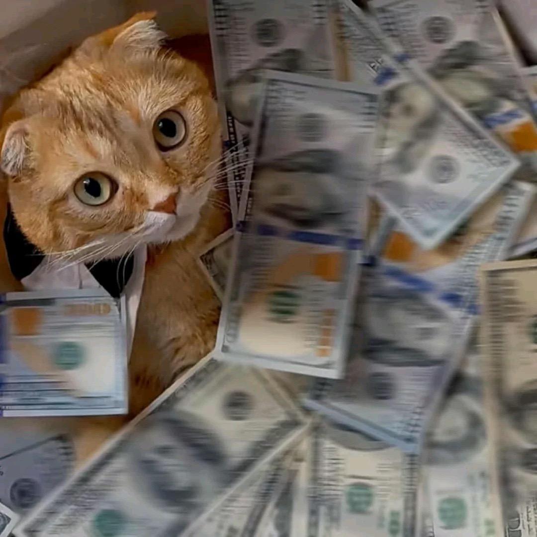 海口龙华区果乐鸿传媒工作室