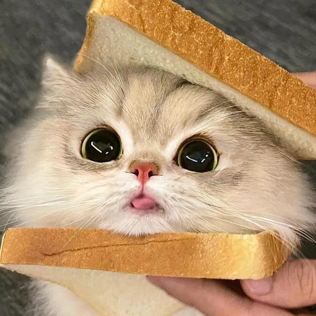 哈哈的食玩小店