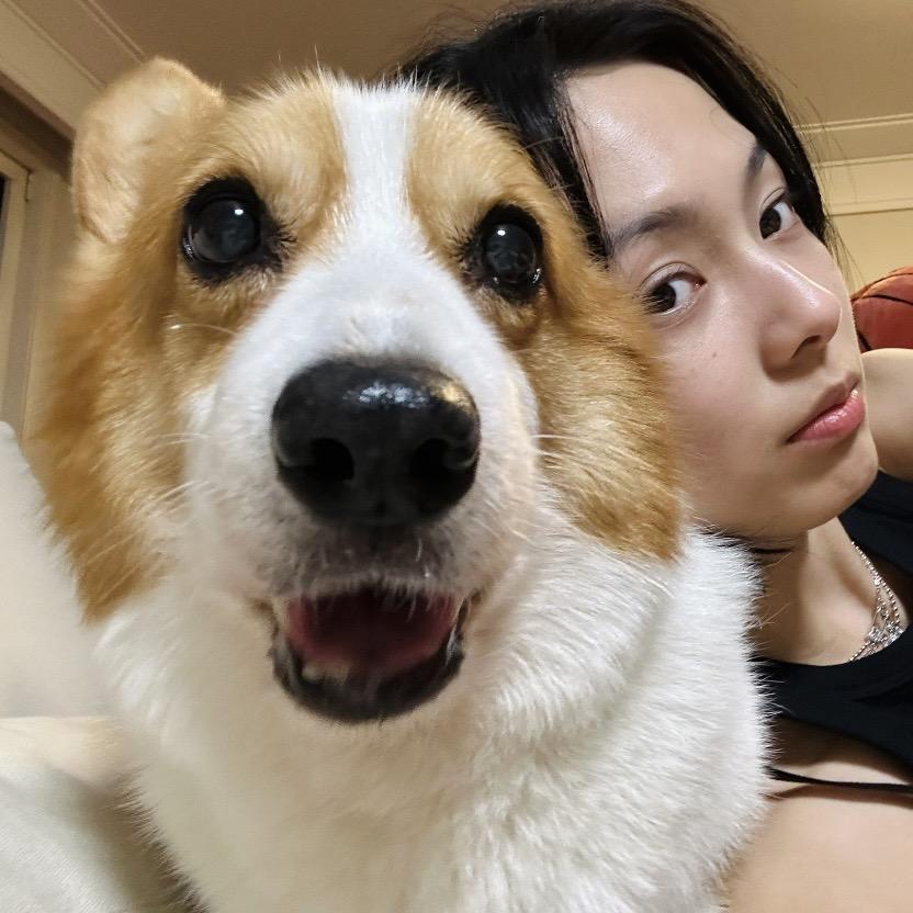 云飞贸易商行