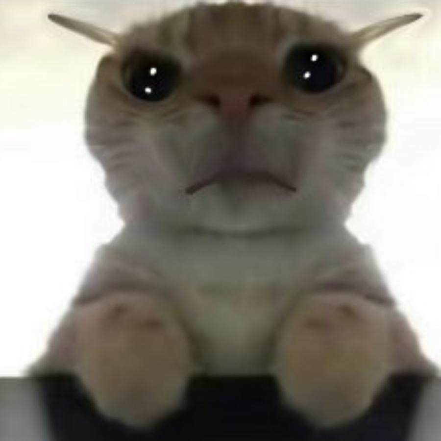 用户5745871054354