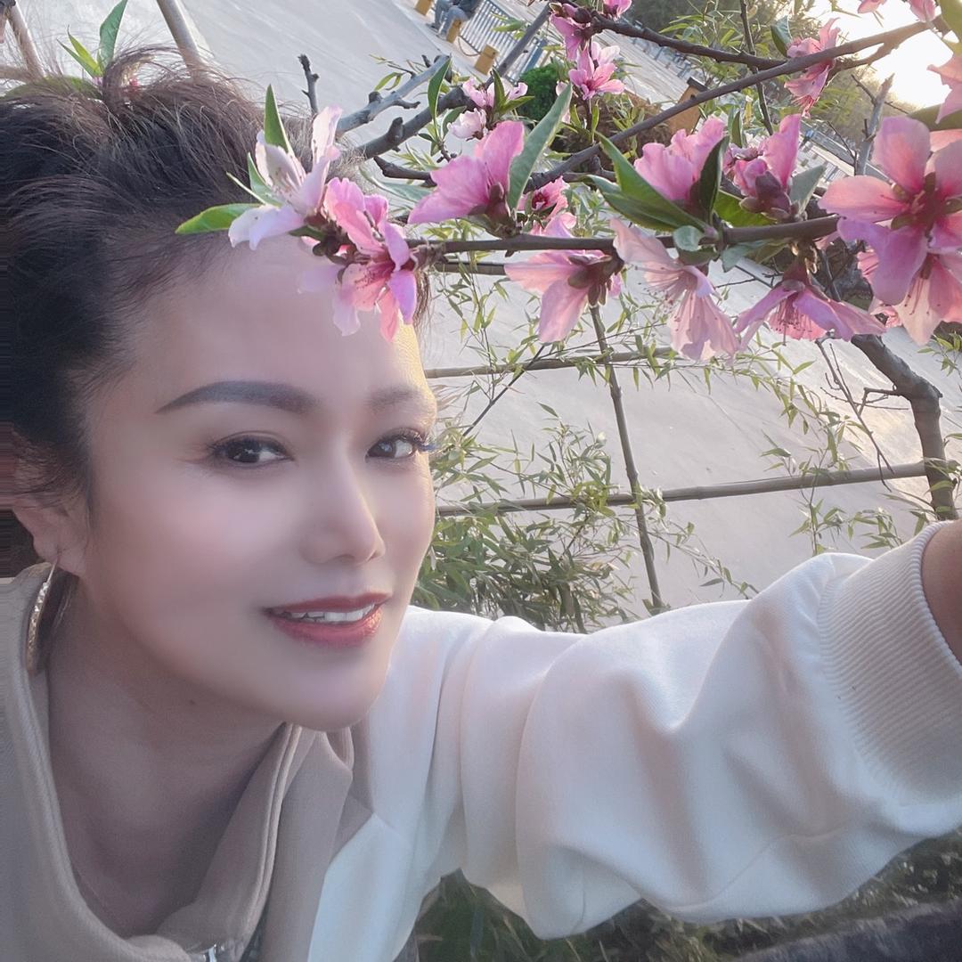 水墨仙子