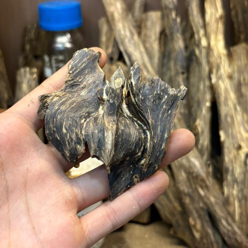 特蓝思沉香小店