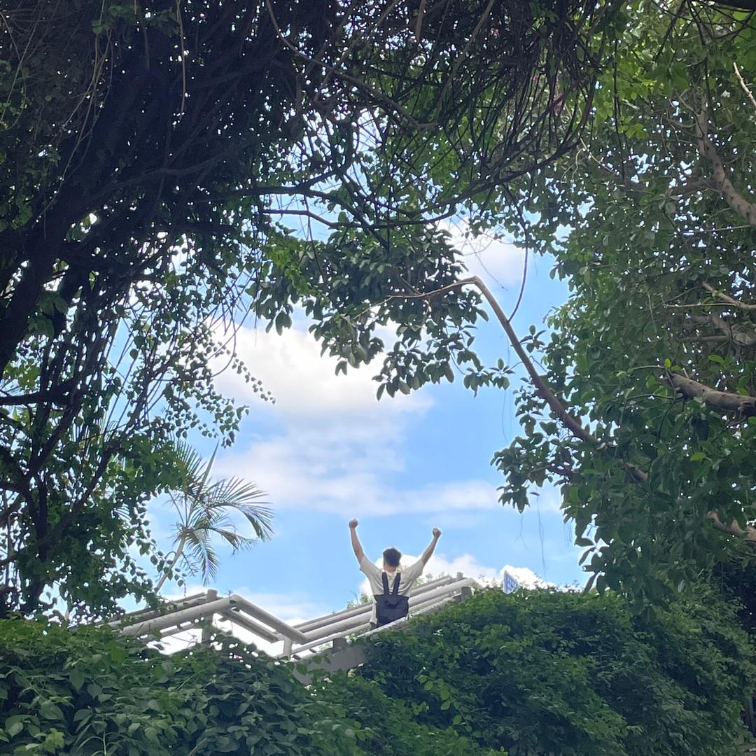车可达
