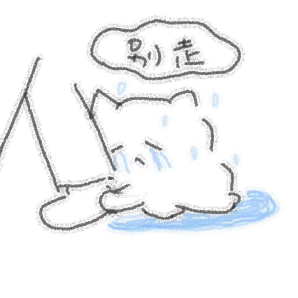 喜欢小猫