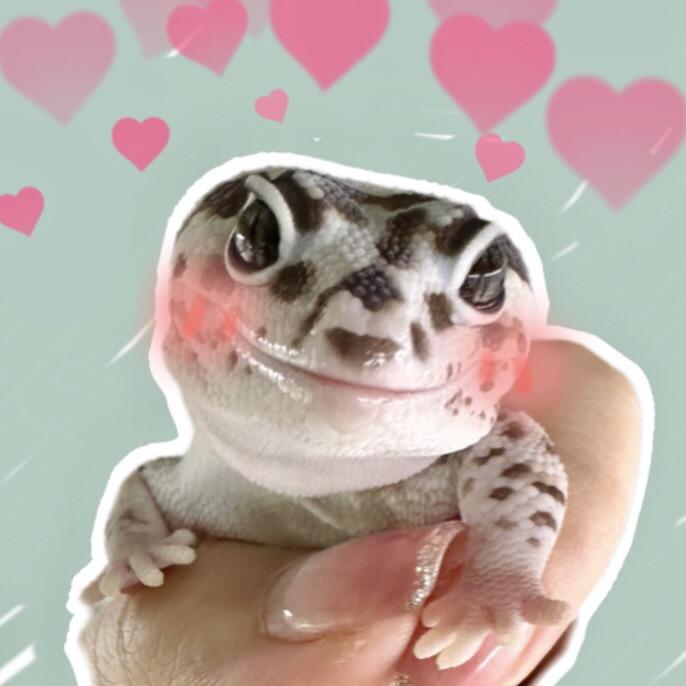 啵子爱爬(出🦎版）