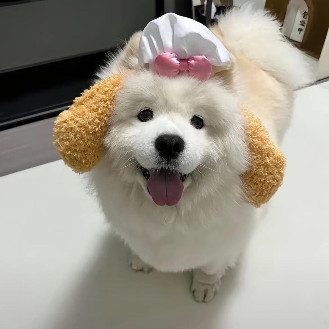 亳州工匠装饰郑大钱