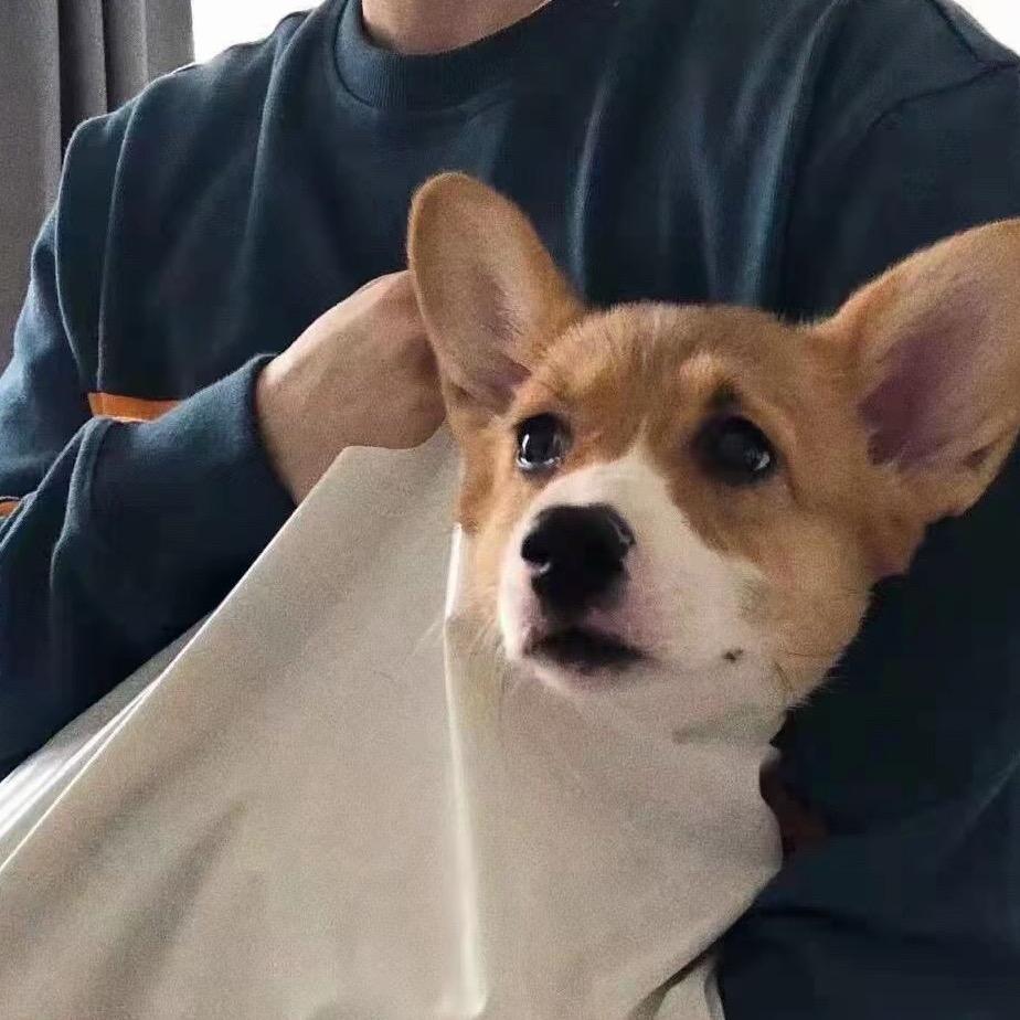 柒/.