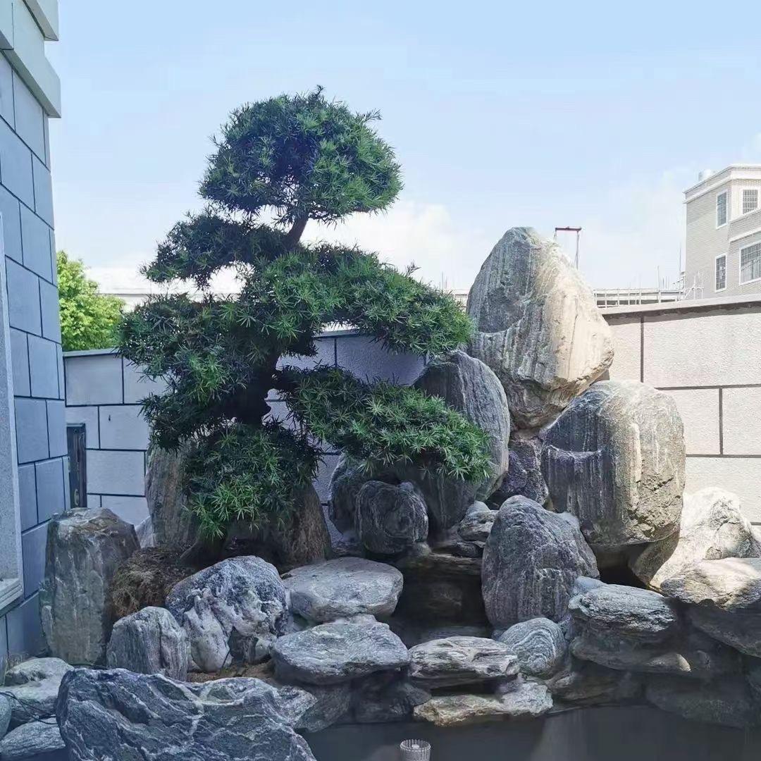 石头梦想家