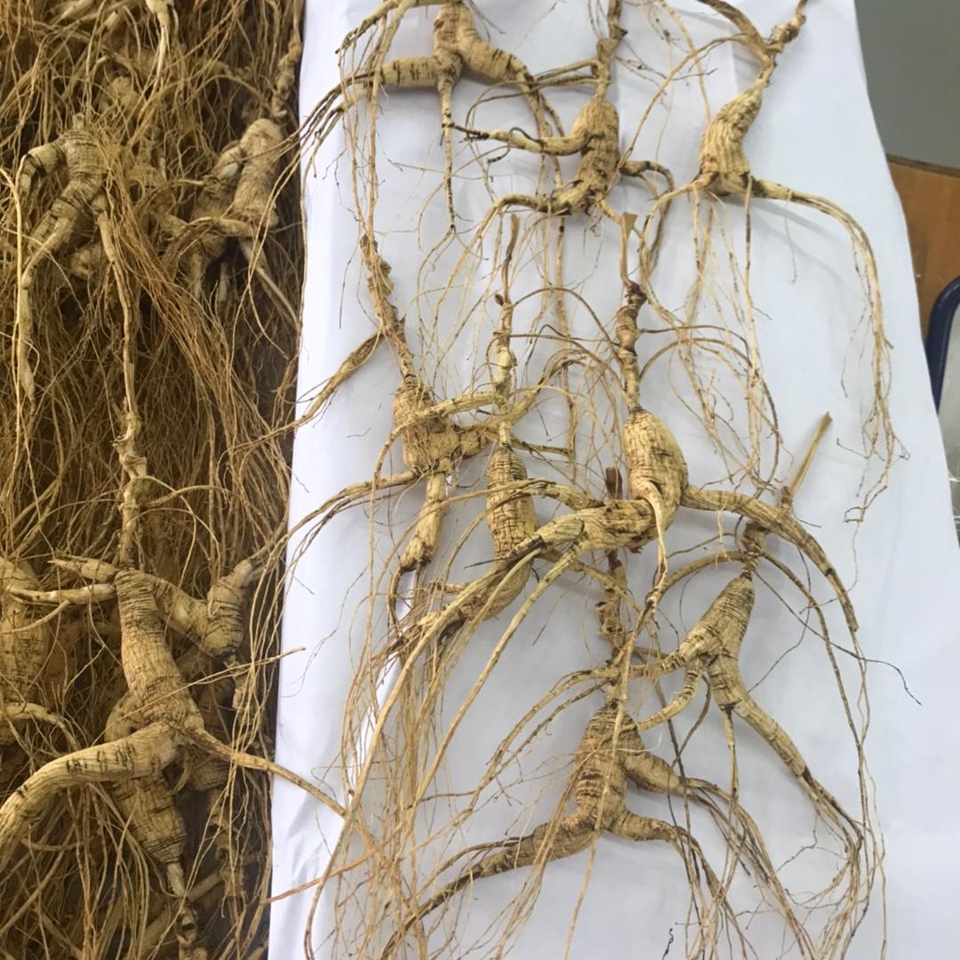 众生堂滋补商行