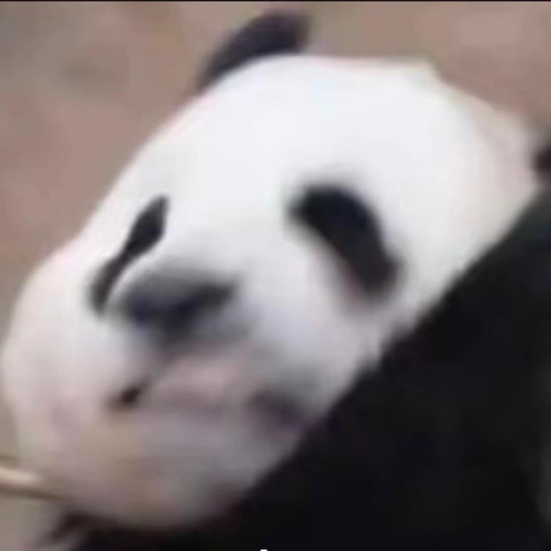 地地道道dididaodao