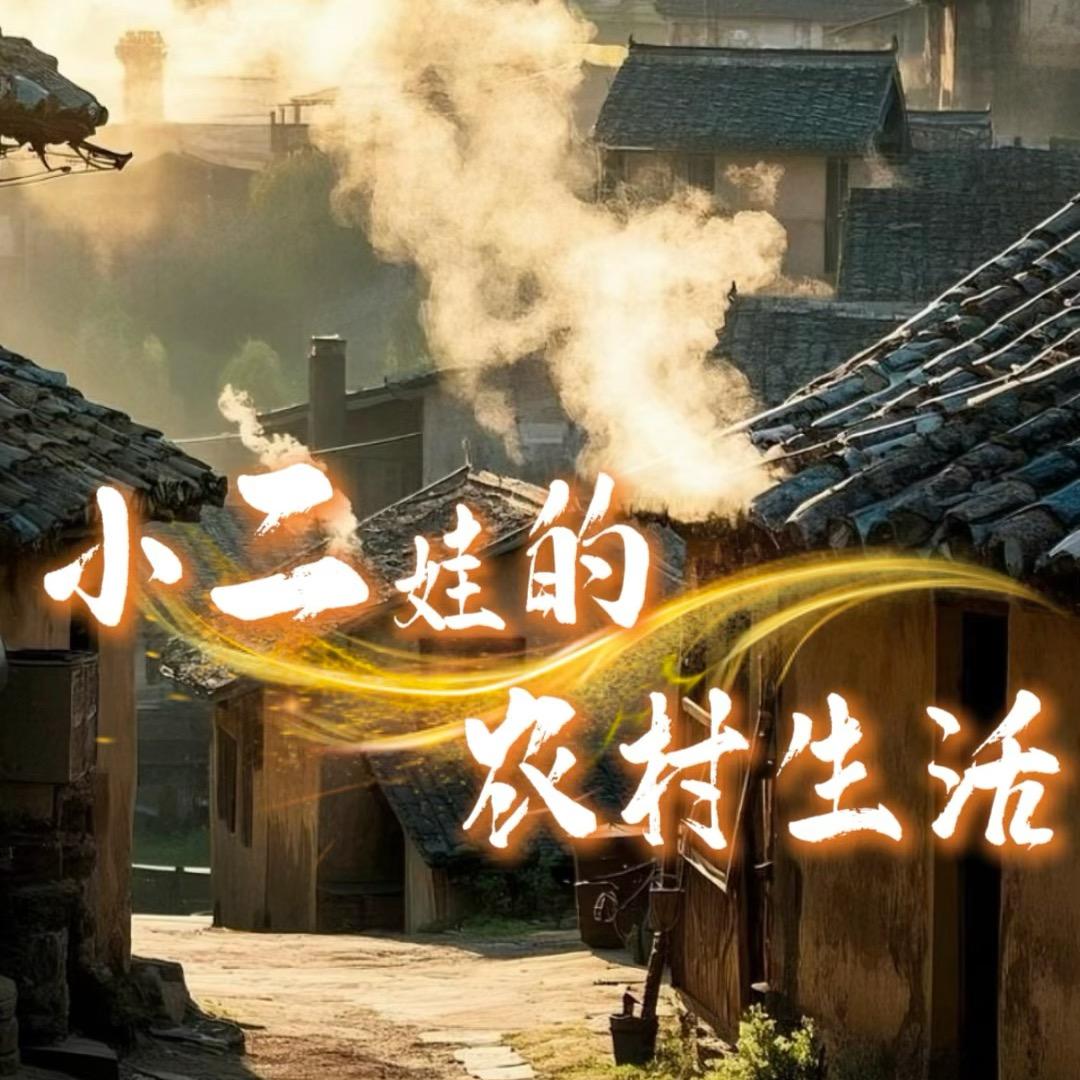 小二娃的农村生活
