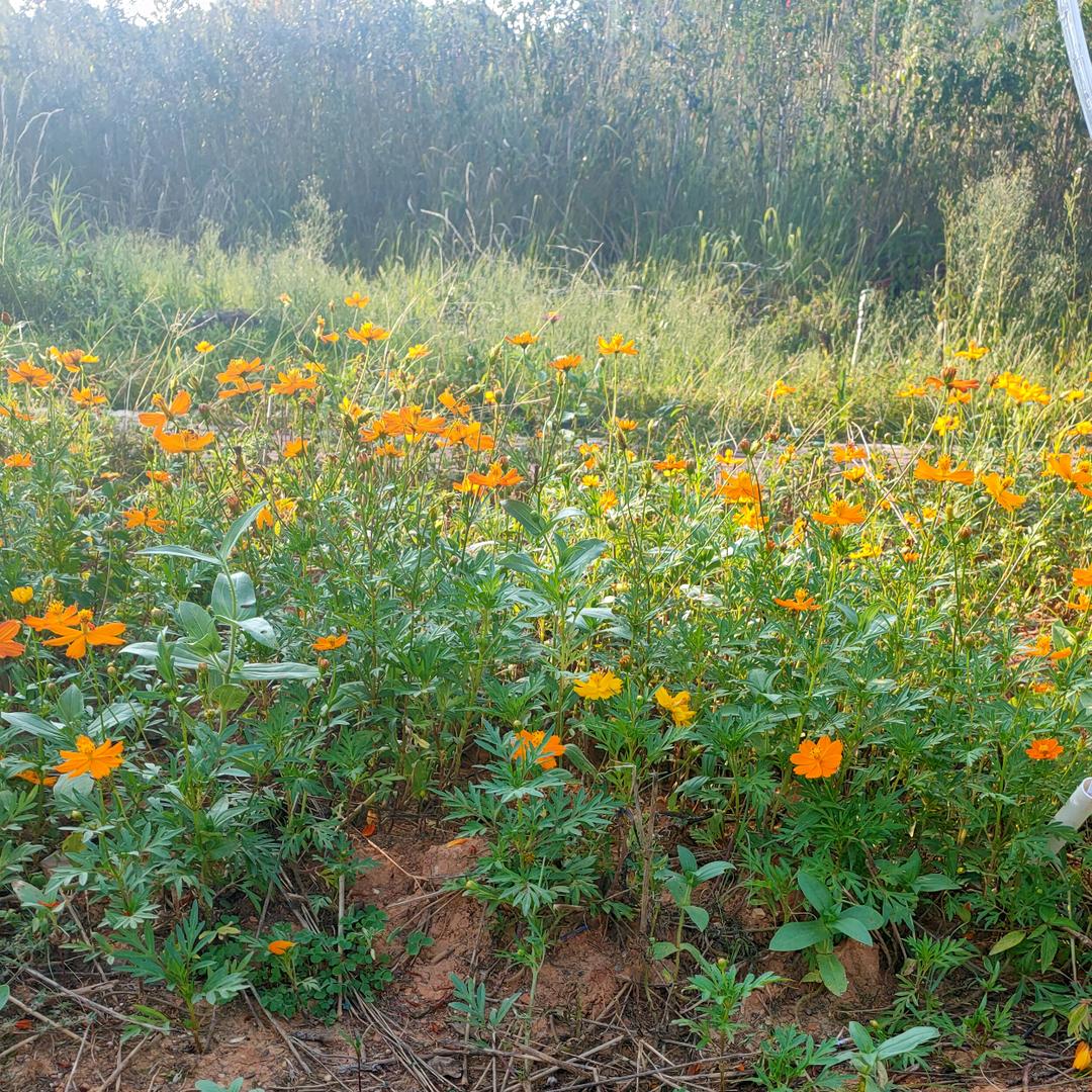 🚬浓烟ღԅ伴酒⊙ω⊙