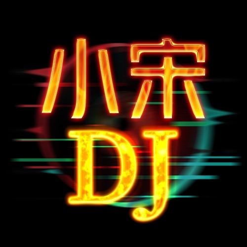 DJ小宋（车载优盘）