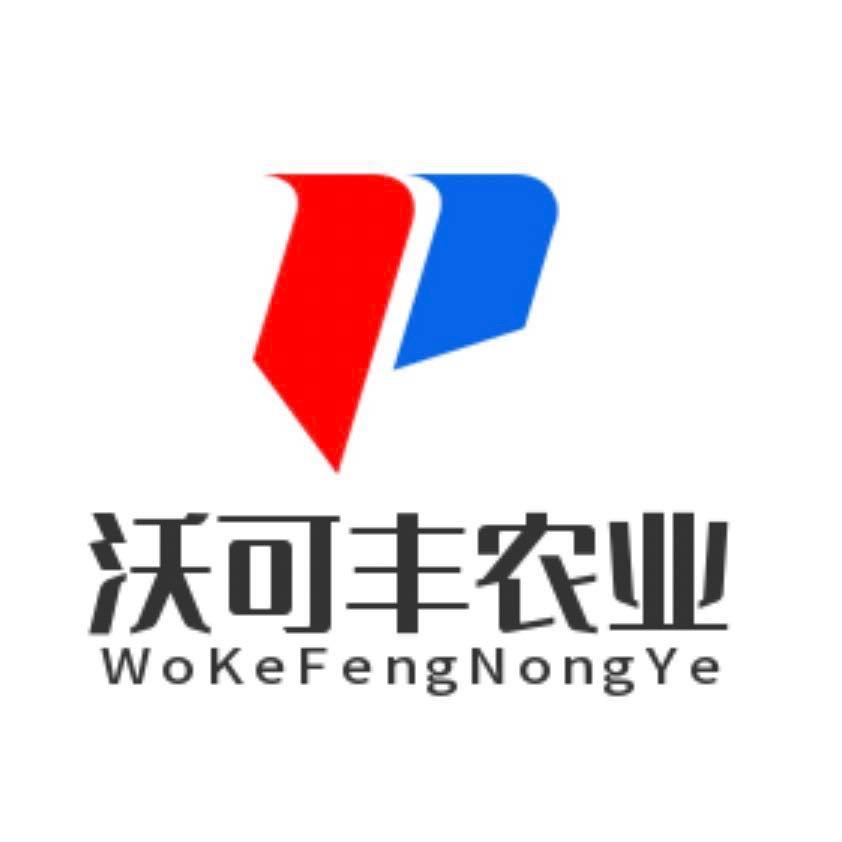 沃可丰混播玉米种王振山