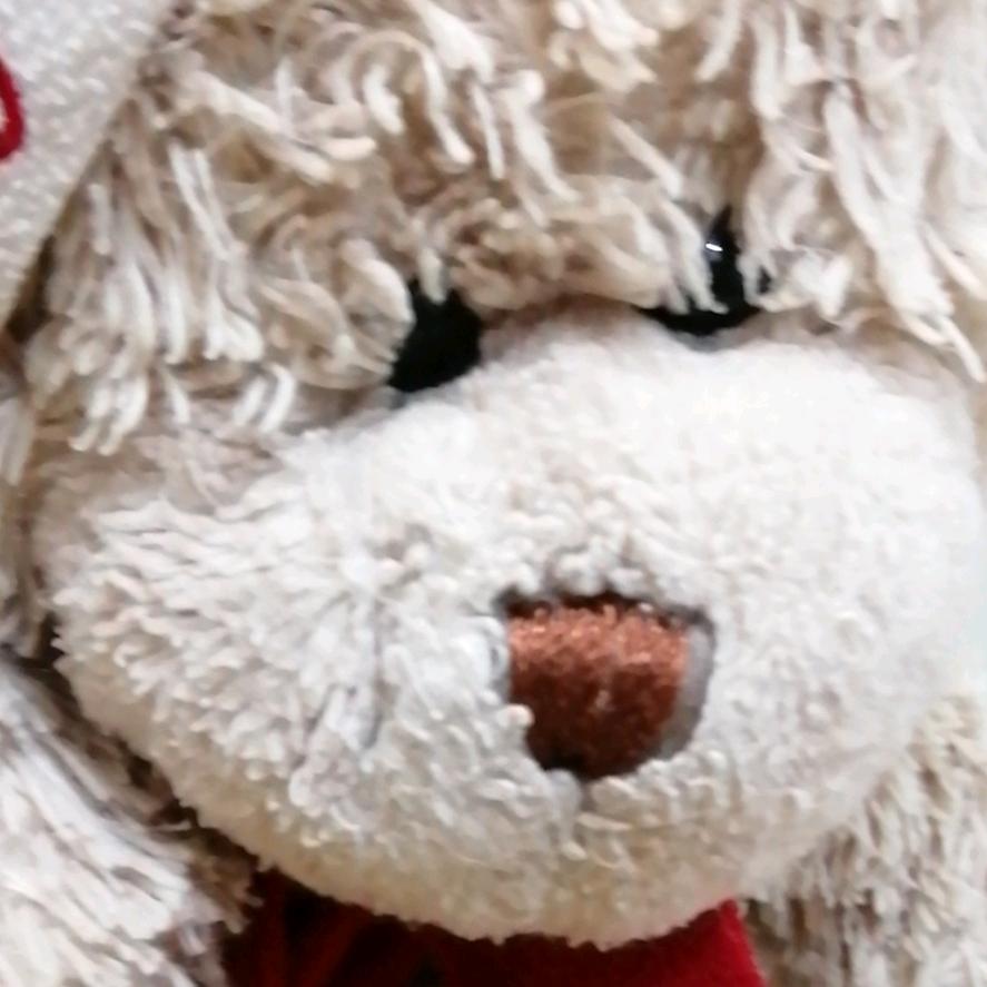 hhhhappysheep