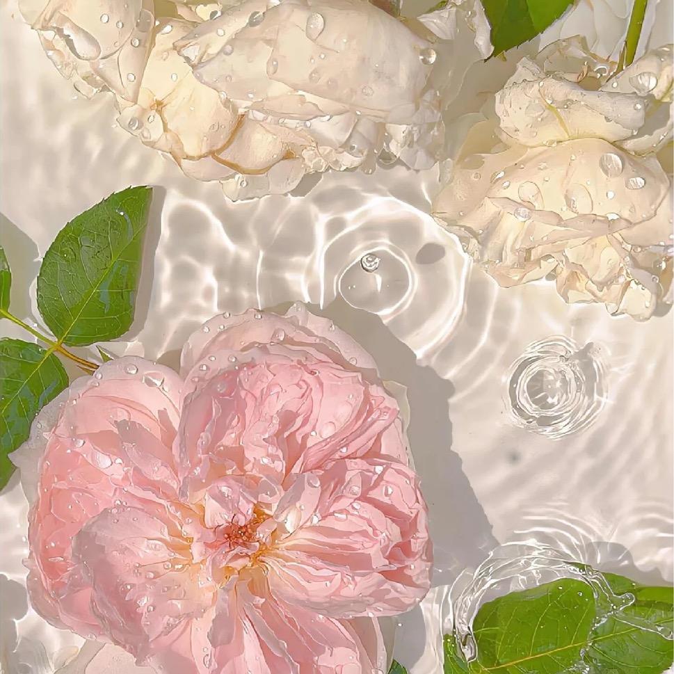 爱画画𓆩♡𓆪