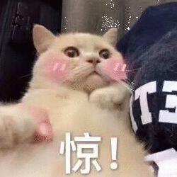 L²头像