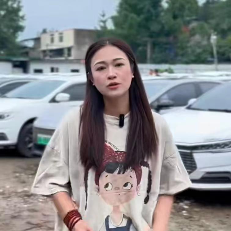 成都莉晗晗二手网约车