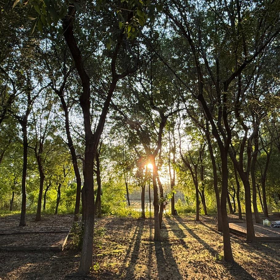 沈事（排忧解难）