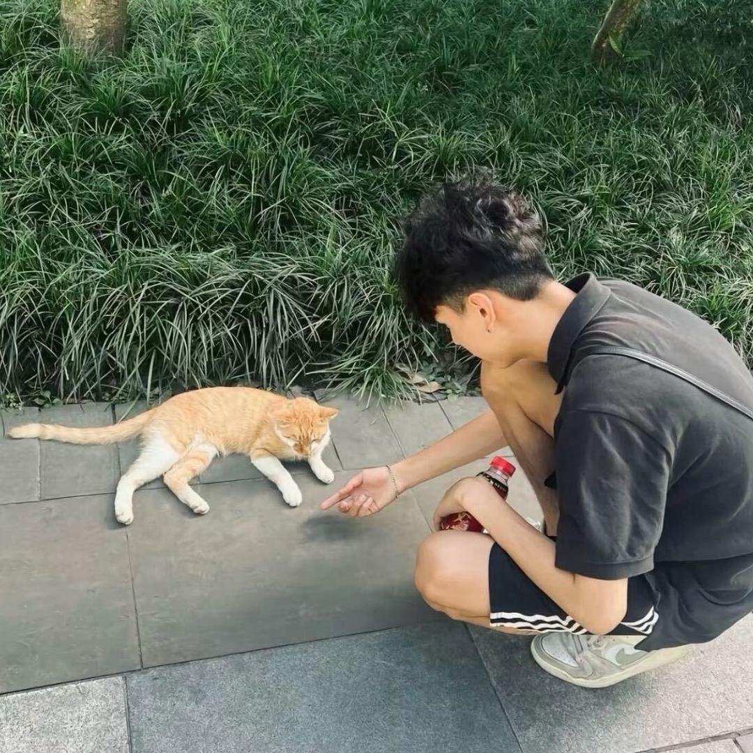 重生之刚子在家做化妆