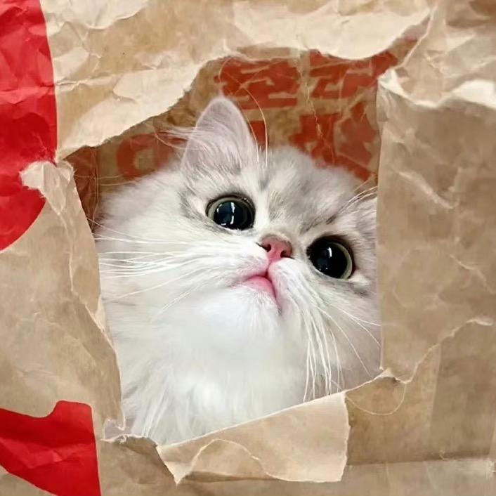 又又又又又🍑了