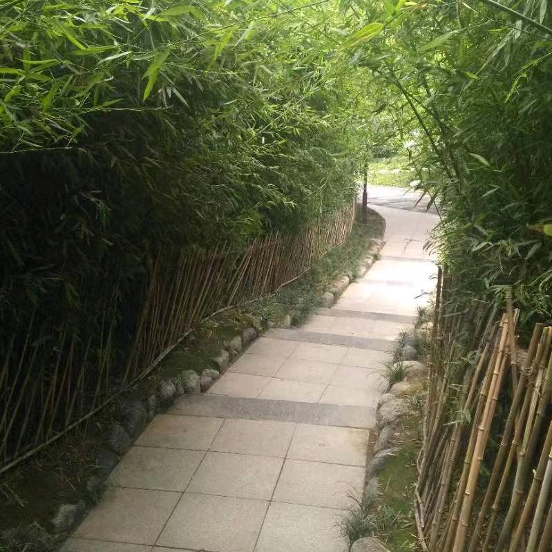 等←待头像