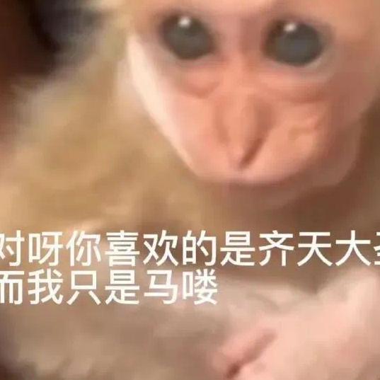 虚假的大圣头像