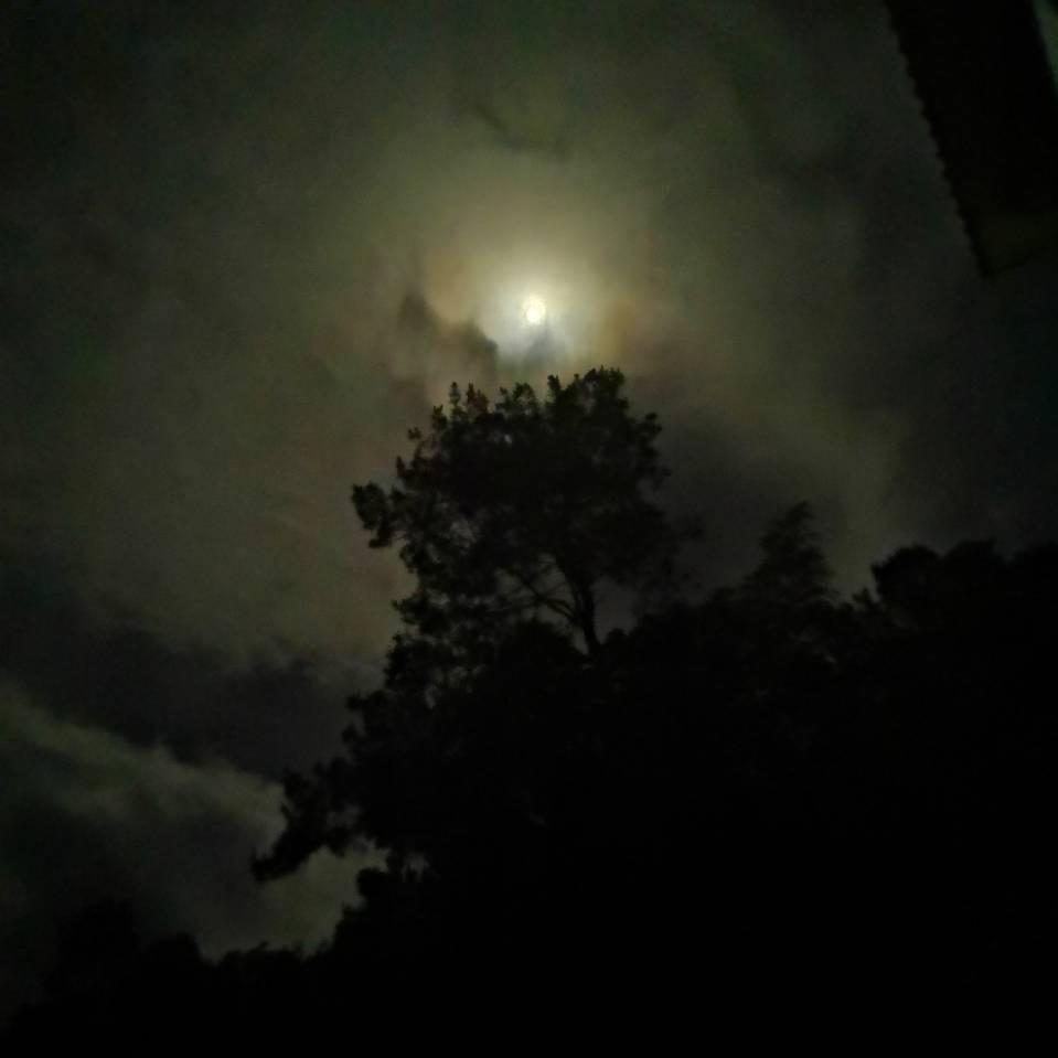 战时的酒（三角洲行动）