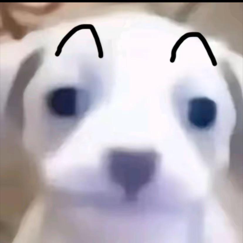 一枚勤奋又怠惰的小虾米