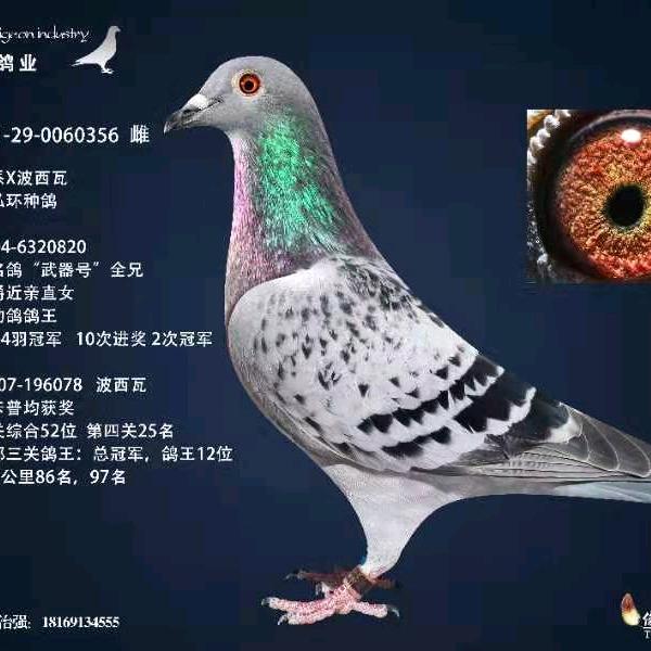 唐韵秦风