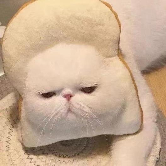 小可摸大鱼