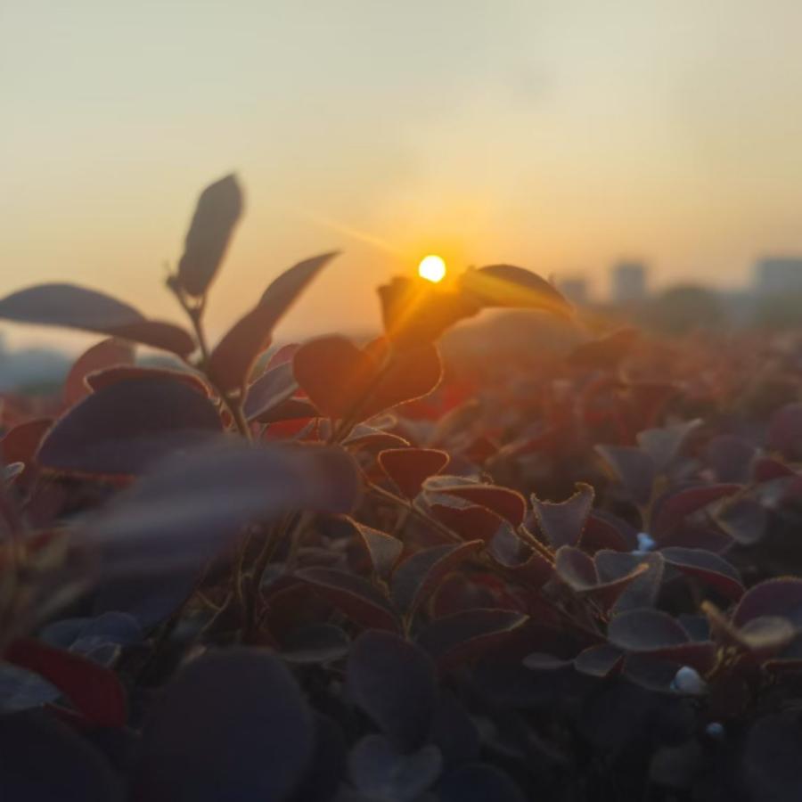 阿永