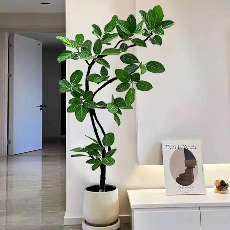 花隅集种植园