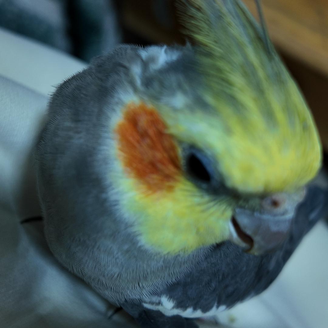 广西善图科技有限公司