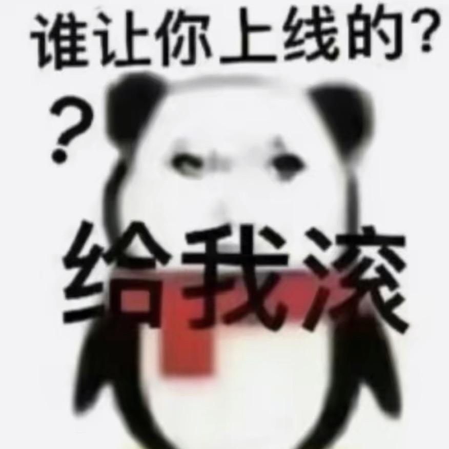 双面龟