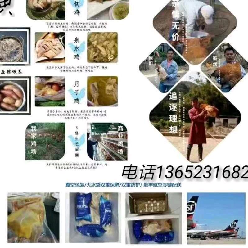 大飞农村鸡