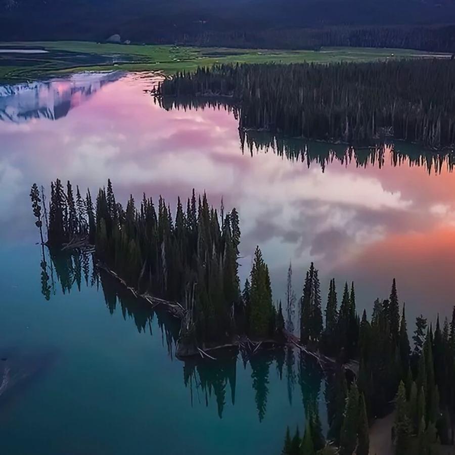 一生承诺