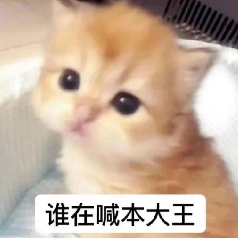 小企鹅