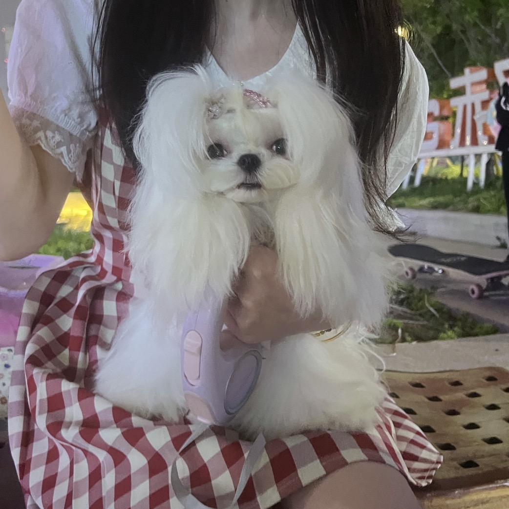🎀奶黄包子🌸