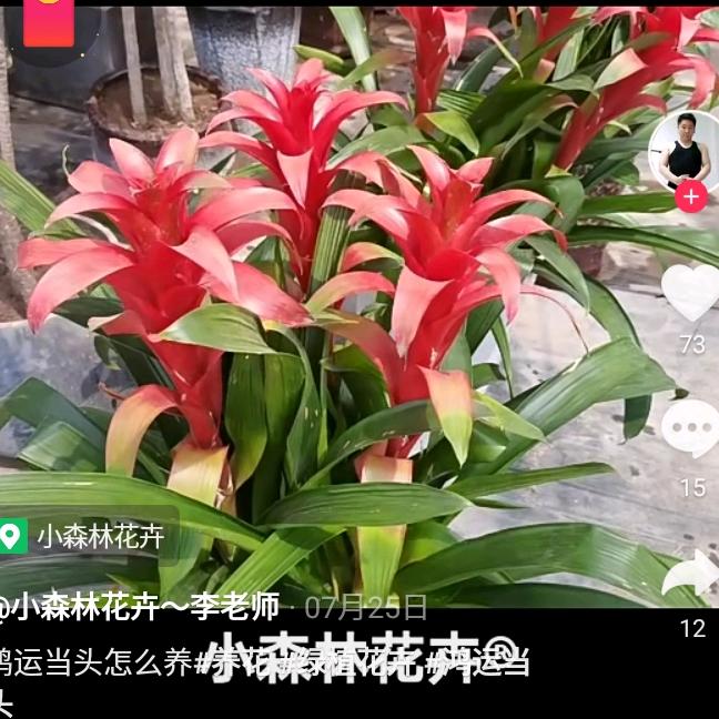 文忠