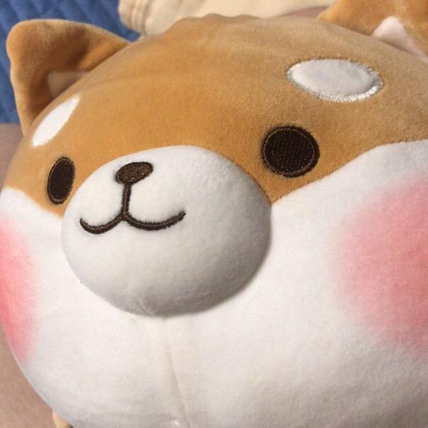 你的牌打得太好了