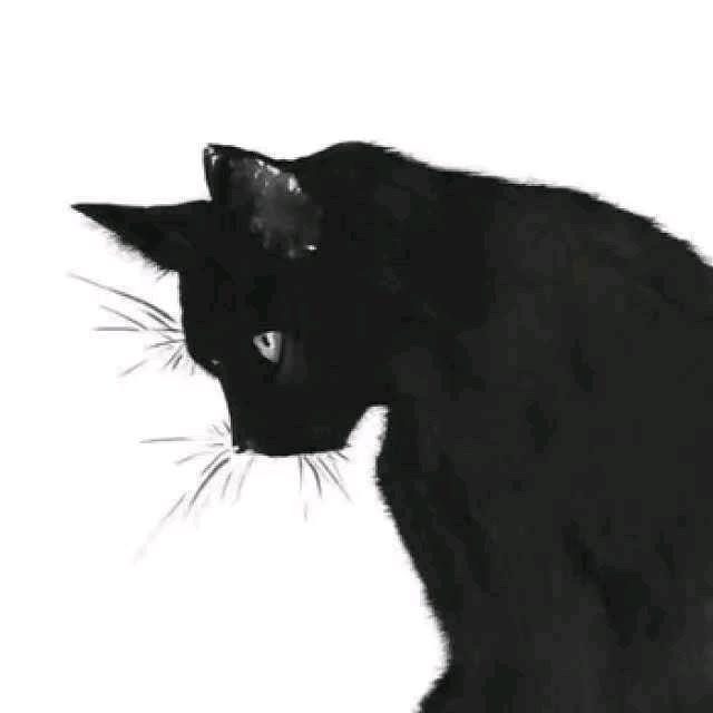 素念