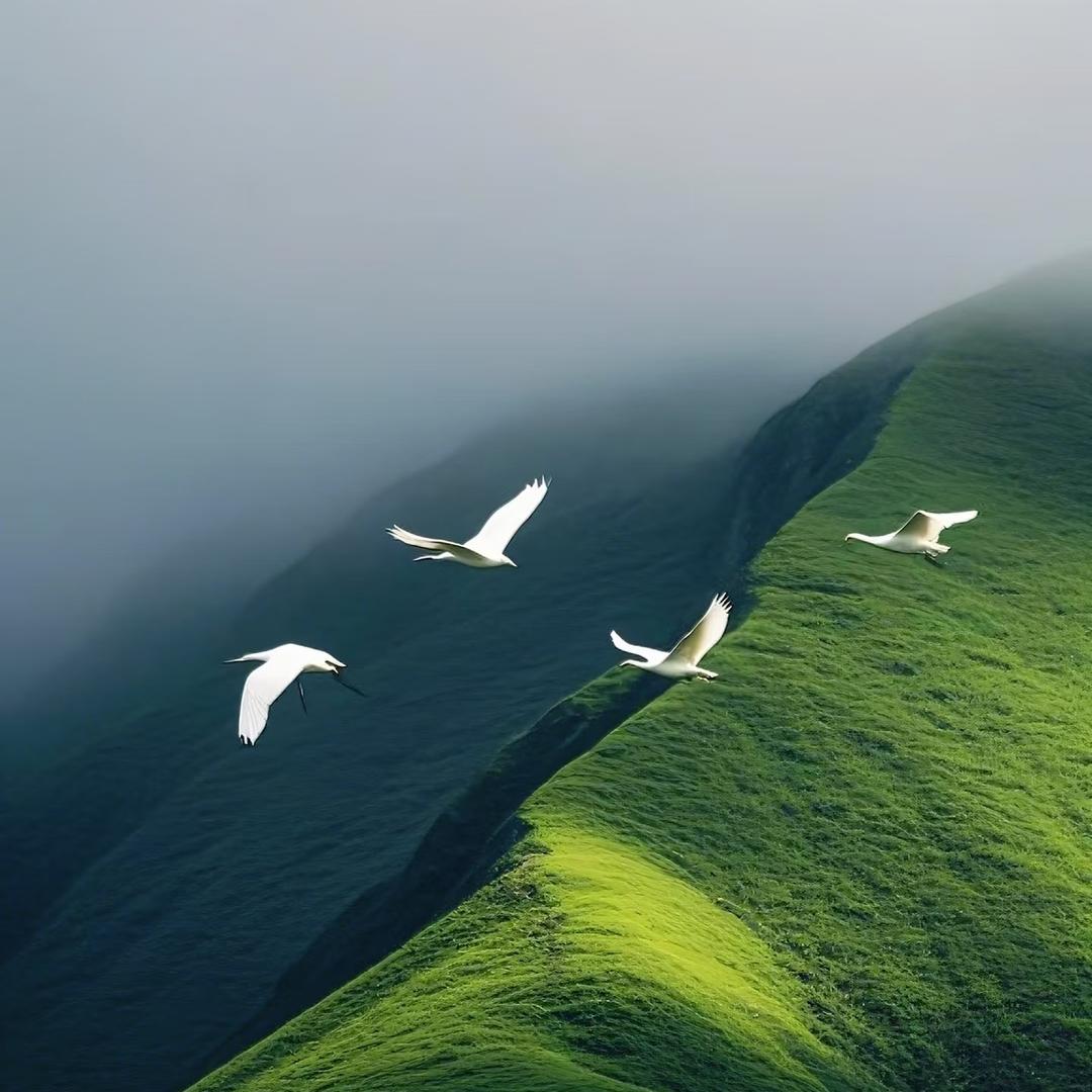 龙牙小川