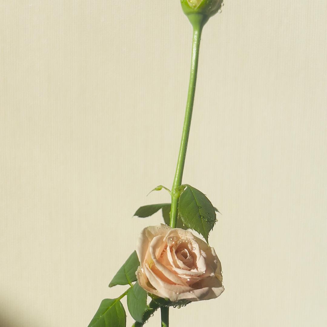 游山玩水爱学习